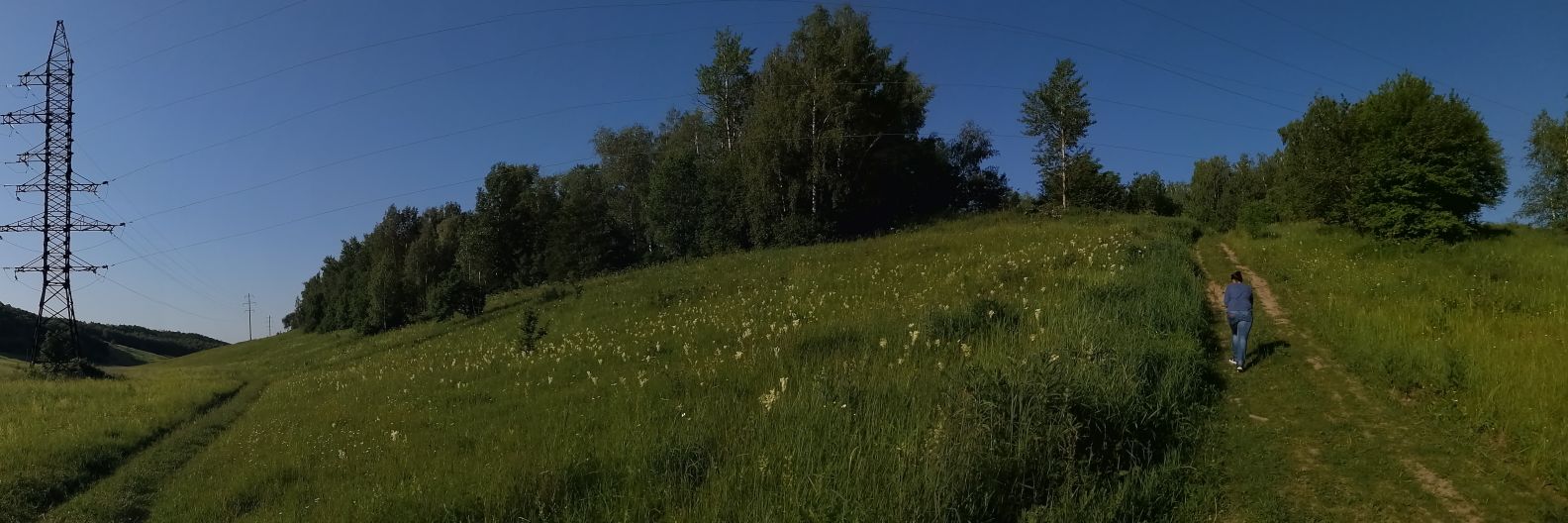 deannaone's profile banner image