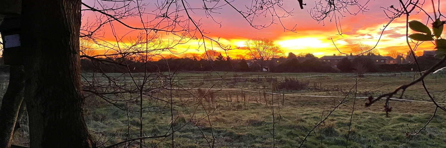 Simon Charles banner