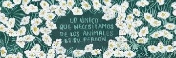 fernanda.🍉 banner