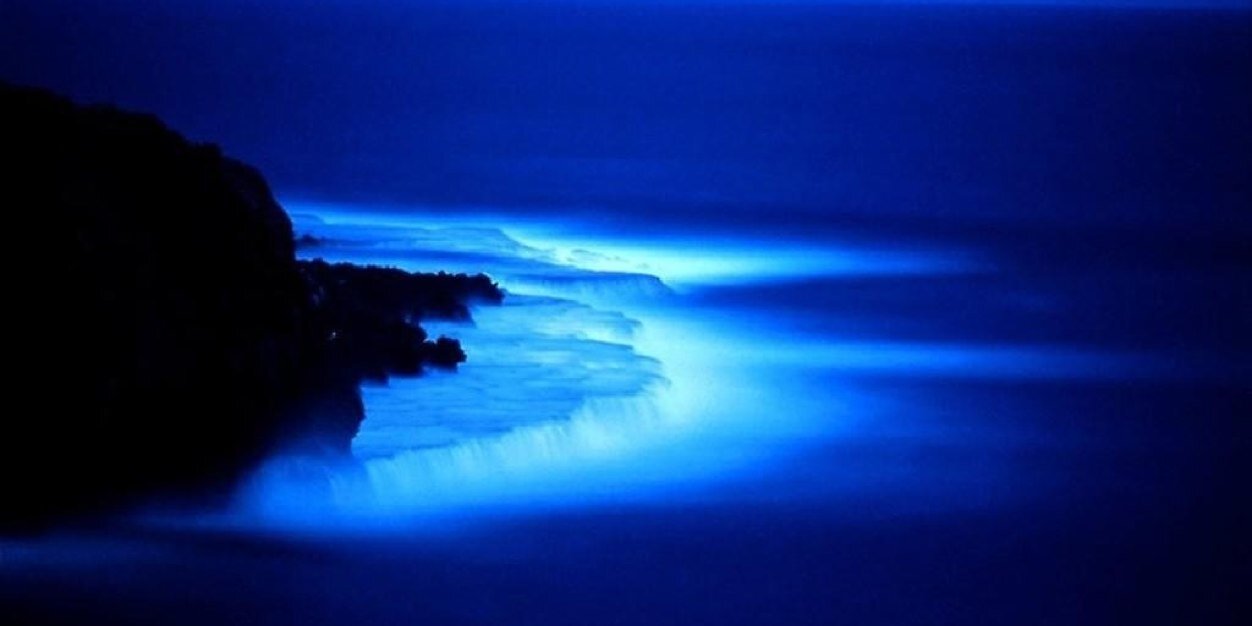 saroona_q87's profile banner image