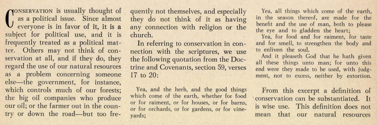 Climate Relief Society (CCL:LDS) banner