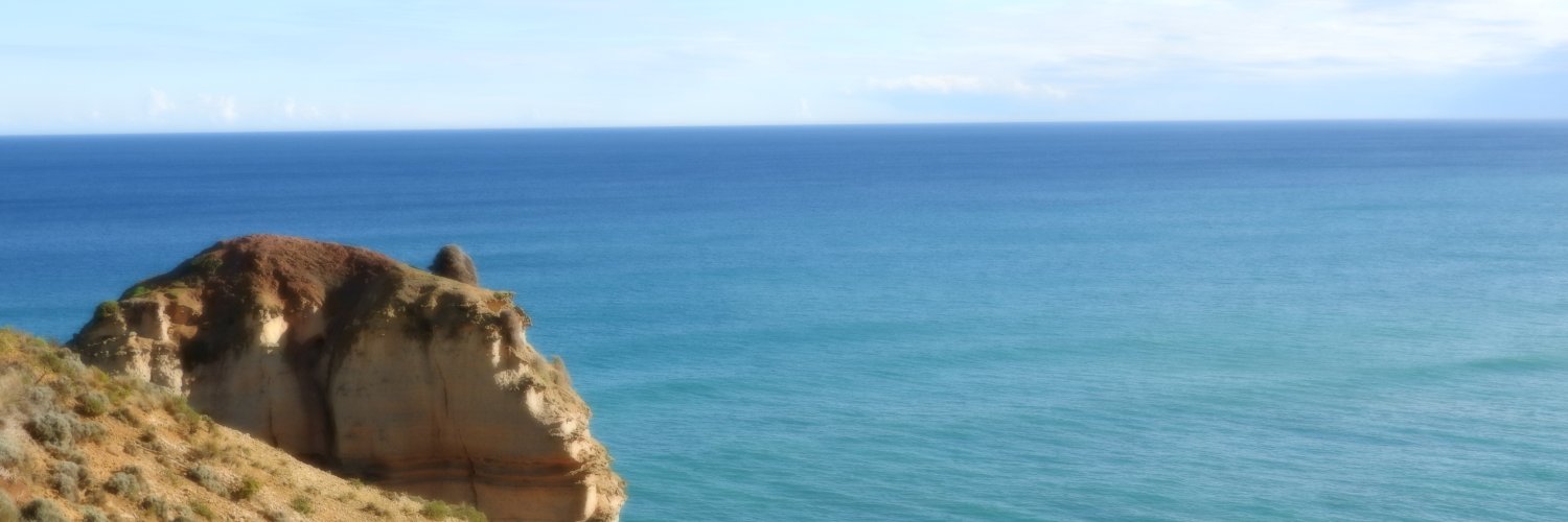 JacquiRoots's profile banner image