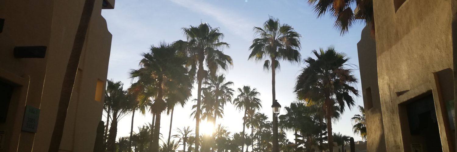 ddanielstgo's profile banner image