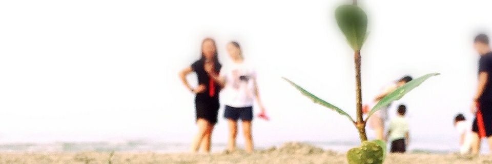 net_netsky's profile banner image