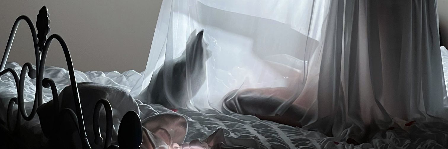 香月奈 banner
