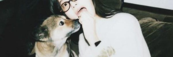 Elektra. banner