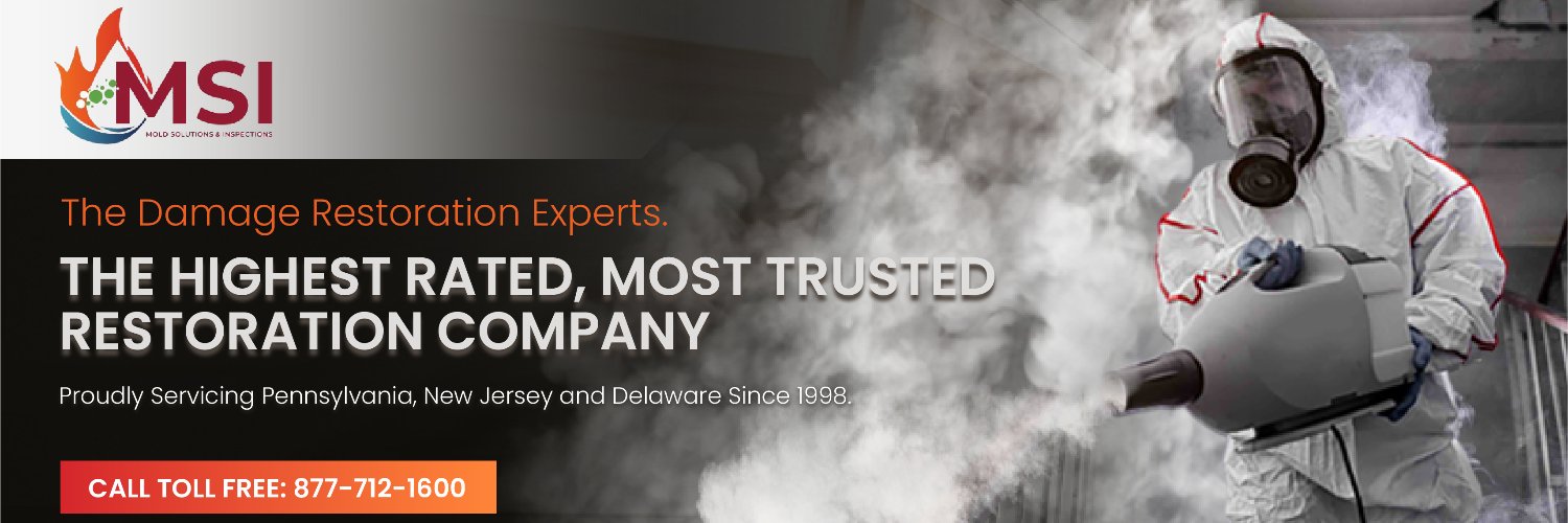 MoldSolutions's profile banner image