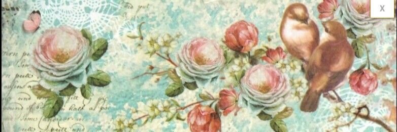 magaly_suarez's profile banner image