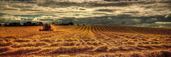 HexaploidSingh Profile Banner