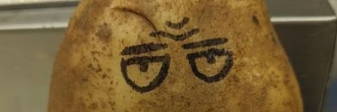 Free Palestine Potato banner