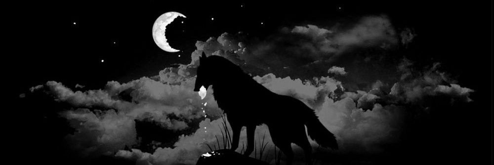 PJMAMDM's profile banner image
