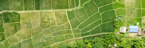 ClaudiaSadoff Profile Banner