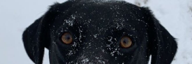 GotHeeem_21's profile banner image