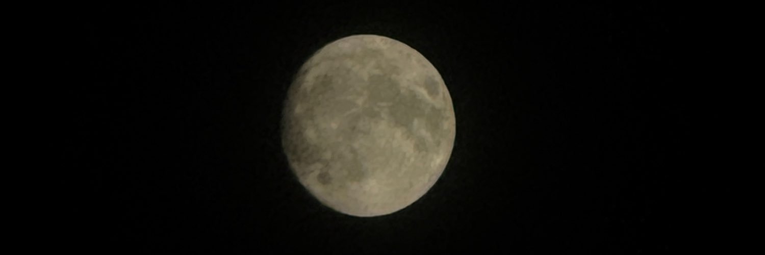 fariha070's profile banner image