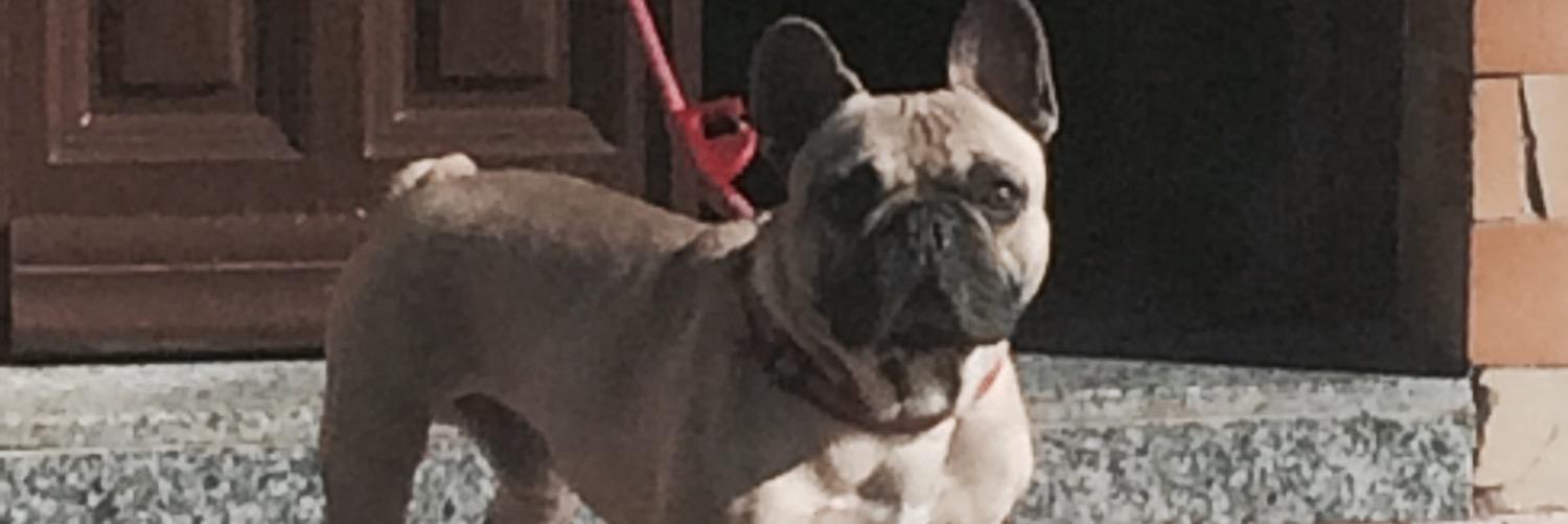 Jose Maria Higuera banner