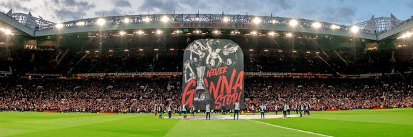 bougainvileaaa Profile Banner