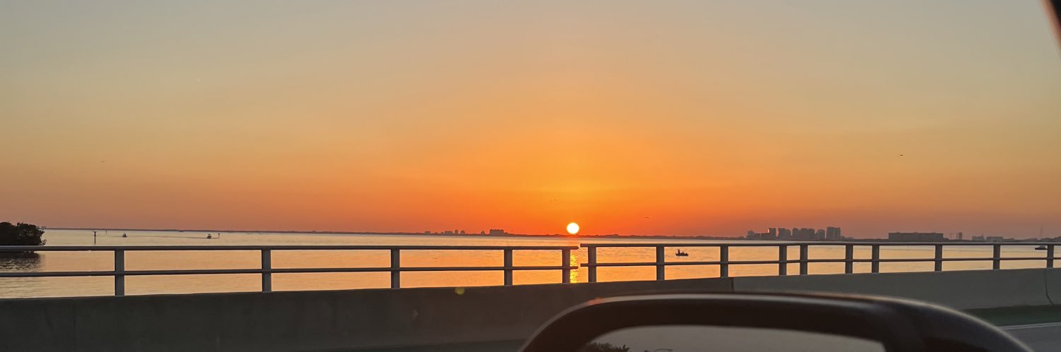 sbaltodanor's profile banner image
