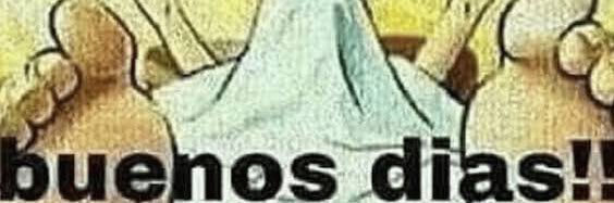 hellobroily's profile banner image