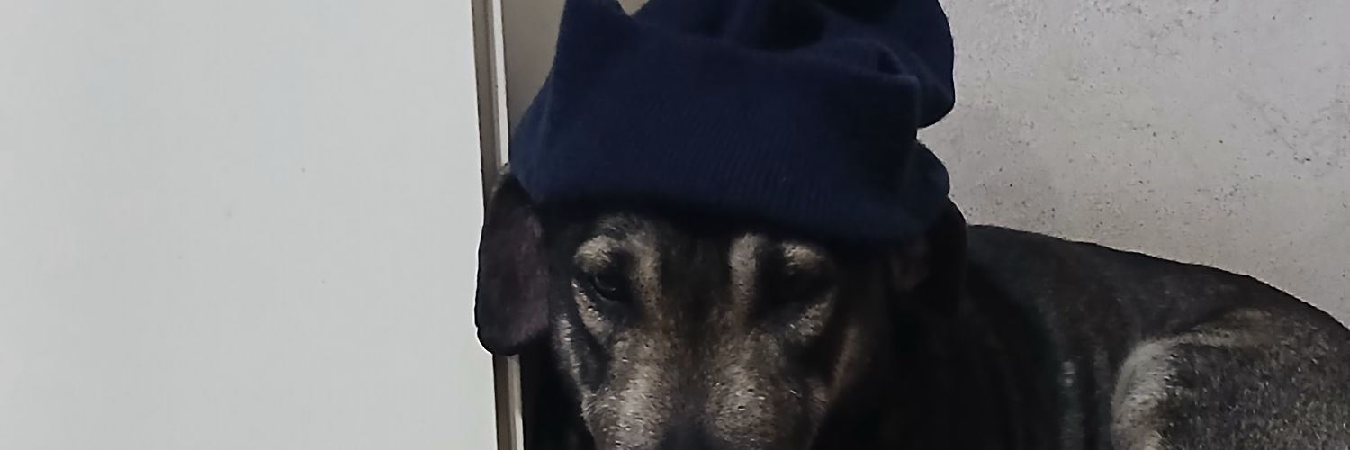 bernnerss90s's profile banner image