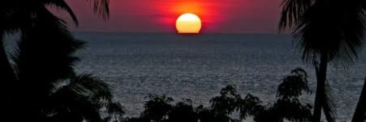 bongiem7's profile banner image