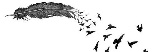 sidd_asmaa's profile banner image