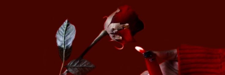 Linanomin's profile banner image
