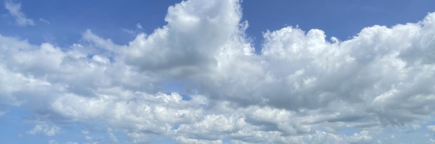 abnrsmrie's profile banner image