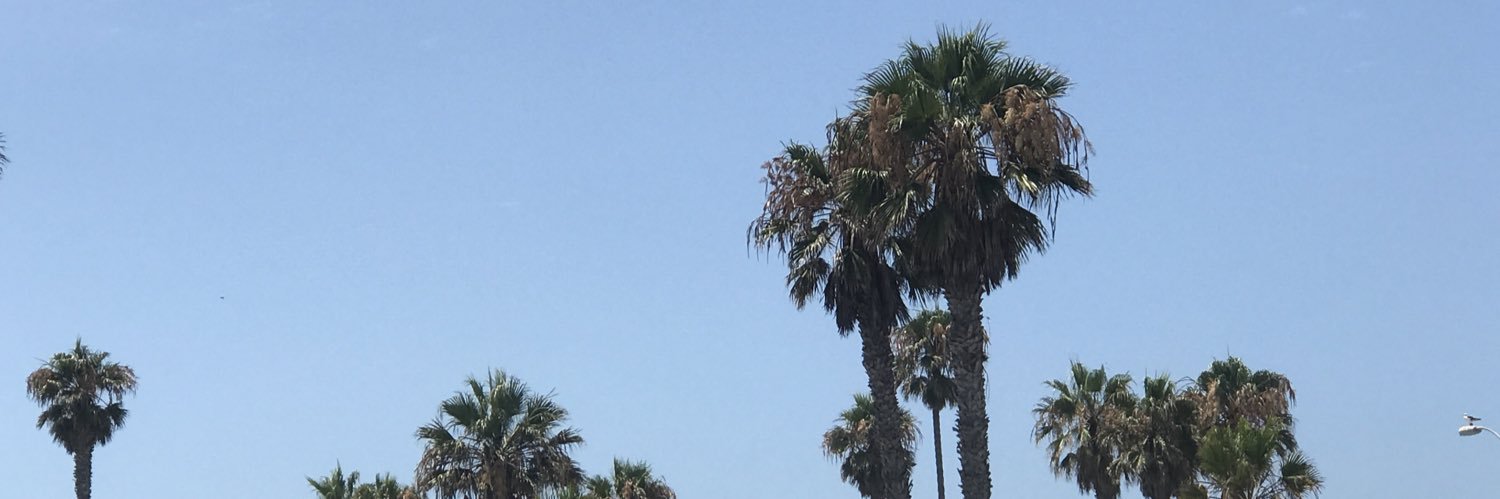 mgchub's profile banner image