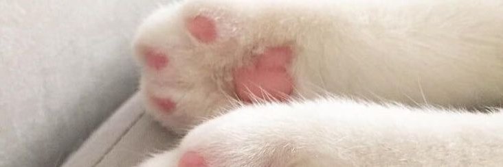 fullfremmfun's profile banner image