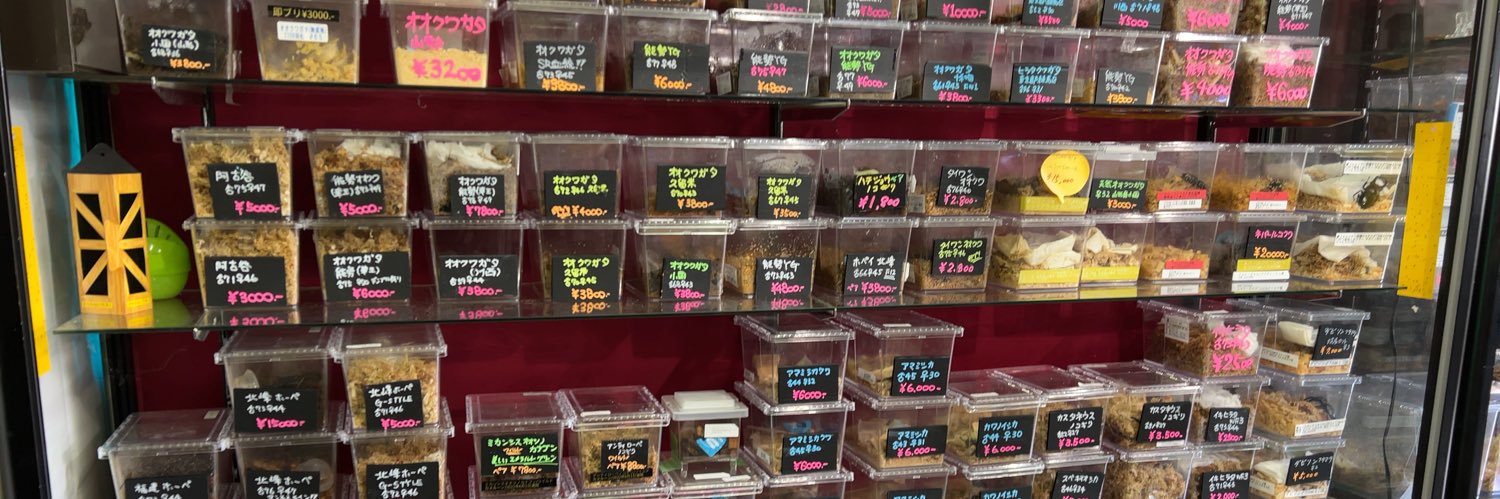 ブラッキー　クワカブ専門店 banner