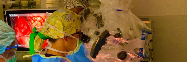 JulieLChanMDPhD Profile Banner