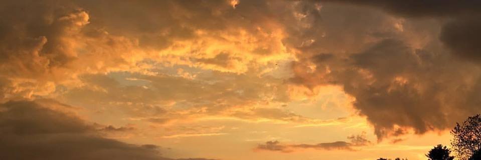 Jay O. Sanders banner