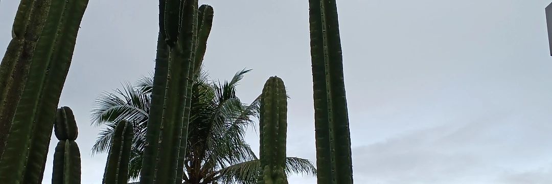 mavtchaz's profile banner image