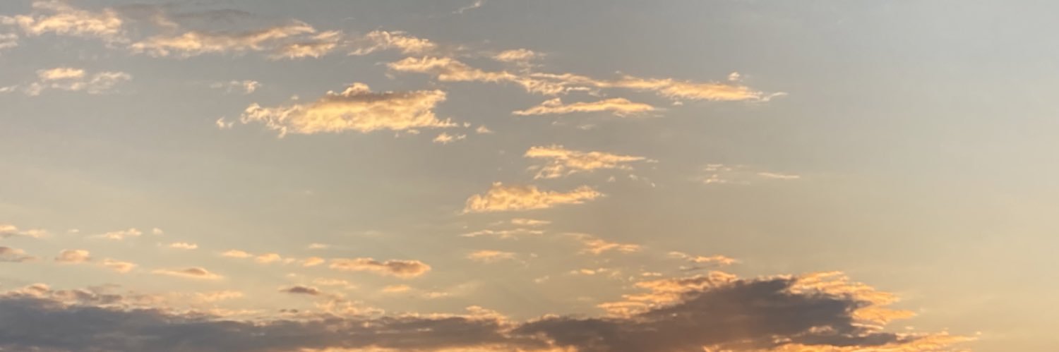 paruuchi's profile banner image