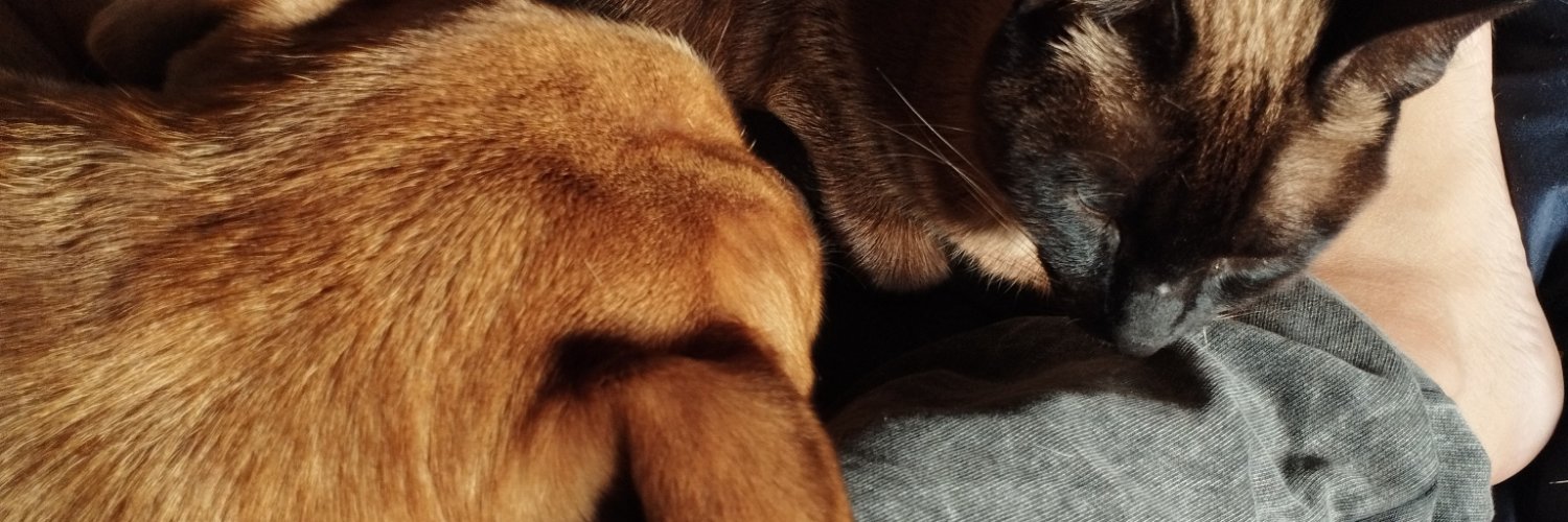 AleexMoya's profile banner image
