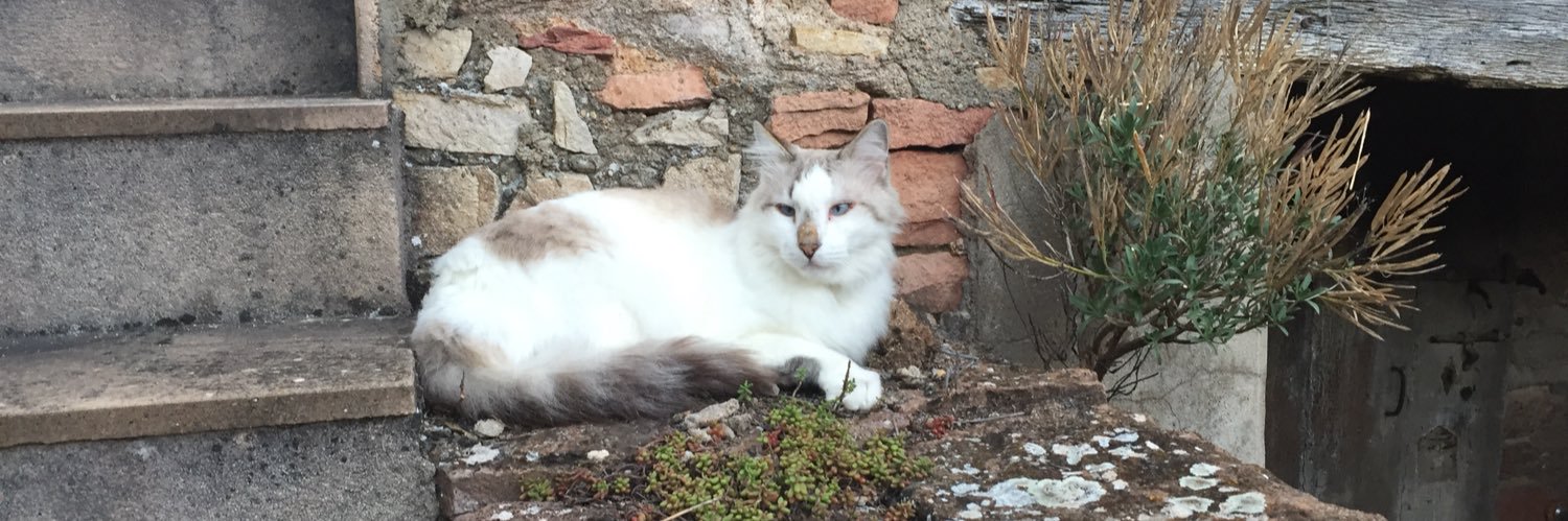 Béatrice NAS banner