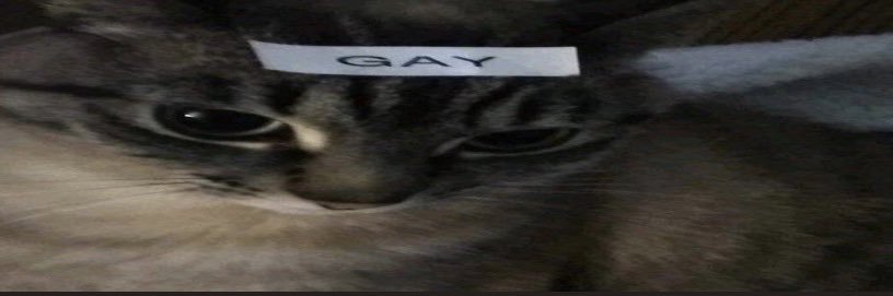 n0v4_2's profile banner image