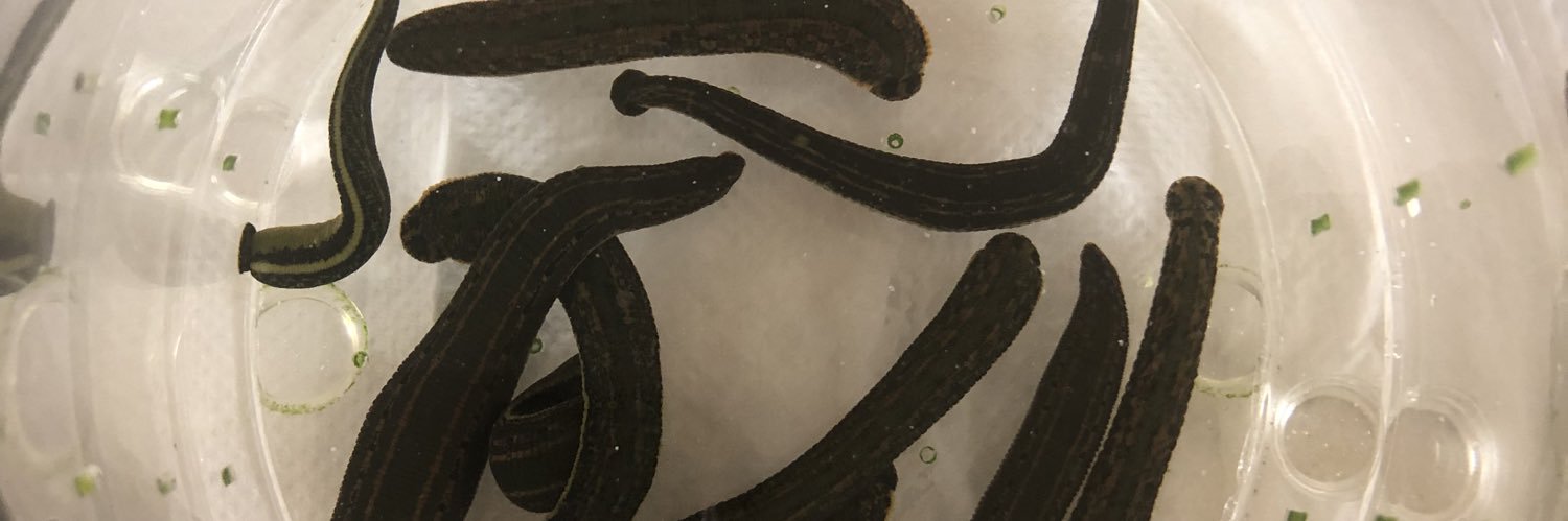 rkhucpharmd's profile banner image