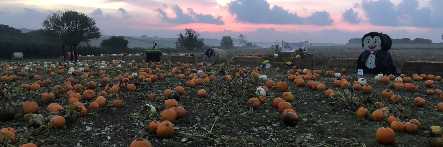 Dorset Country Pumpkins banner