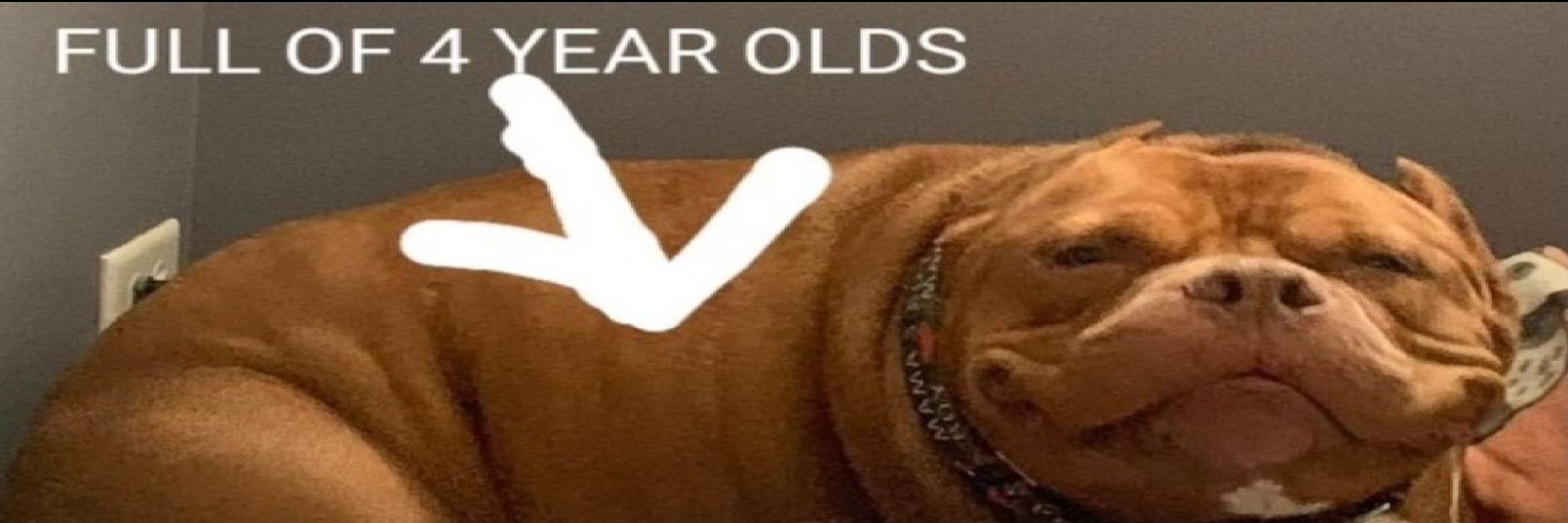 Mattwill2 banner