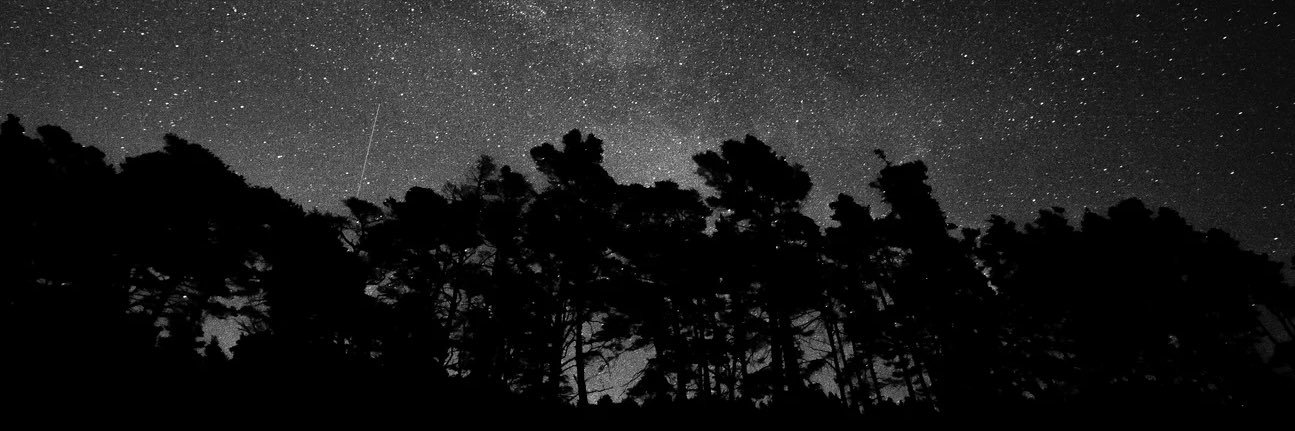 Armando cisneros banner