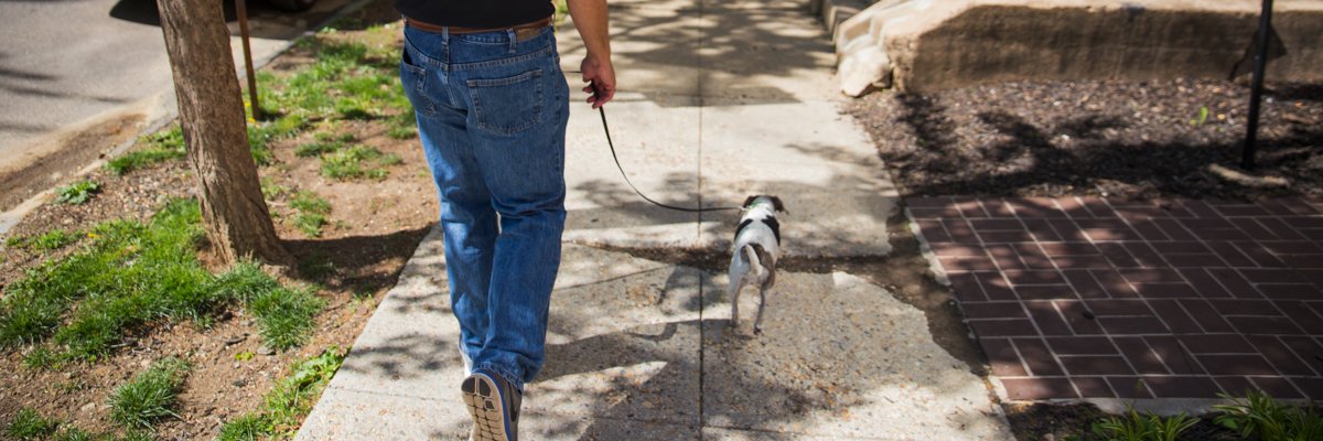Metro Mutts banner