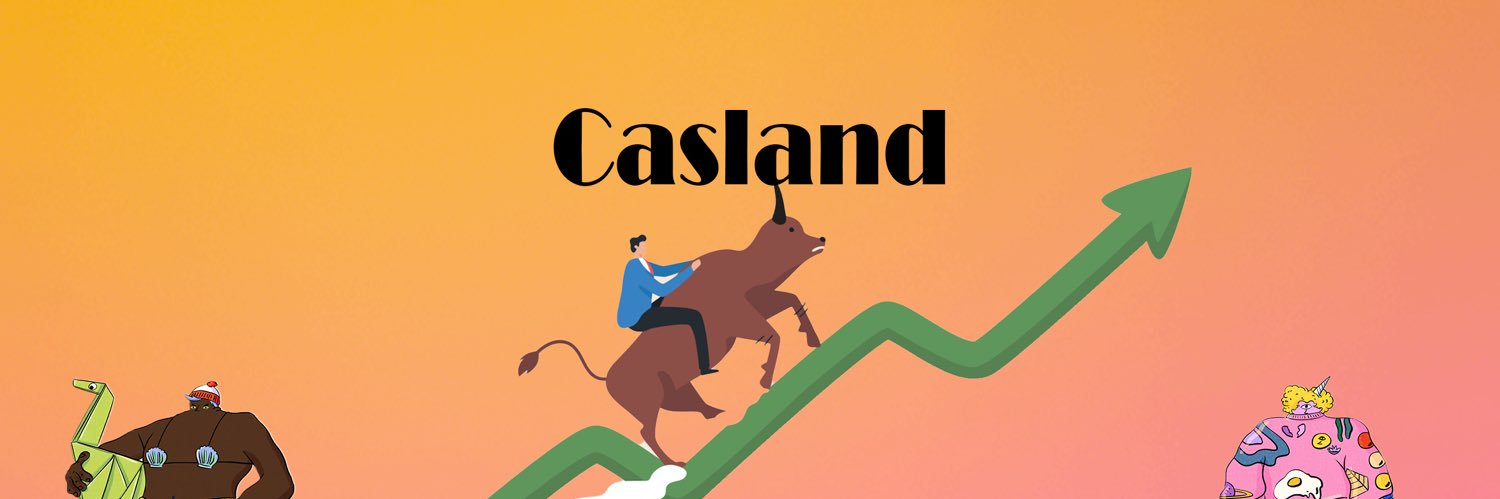 Casland banner