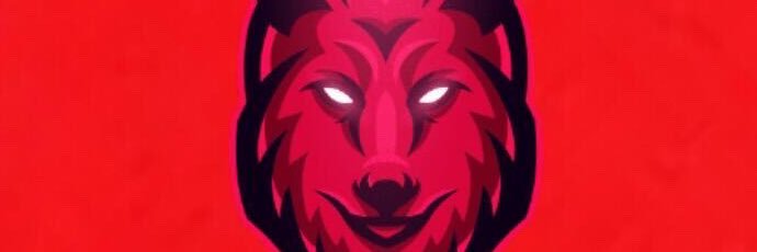 SelticTeam's profile banner image