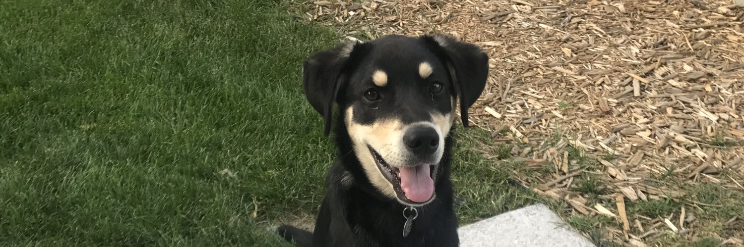 Ryan Ohnoutka banner