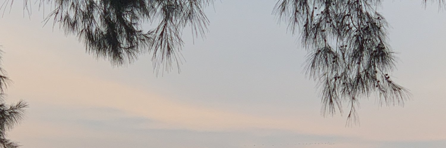 ekashamsuddin's profile banner image