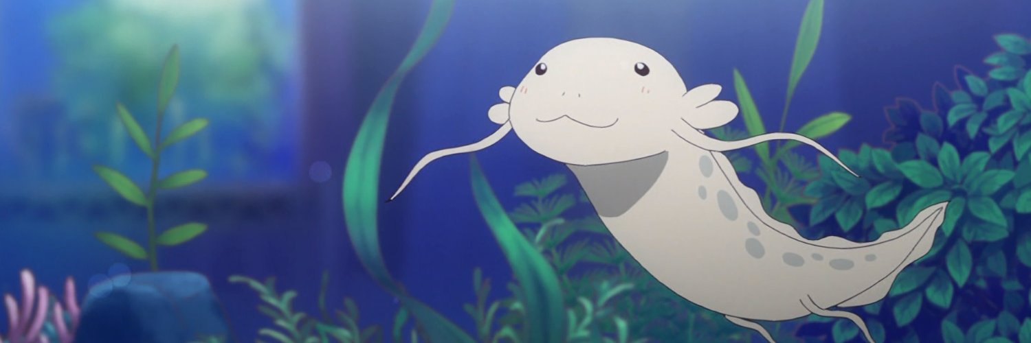 かのかり肺魚🐬 banner