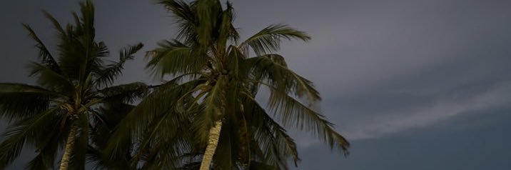 S banner
