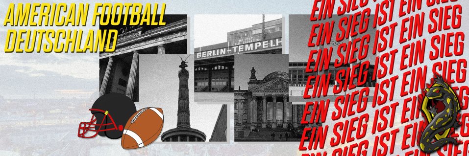 Berlin Fire Salamanders banner