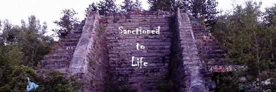 Sanctioned to Life banner